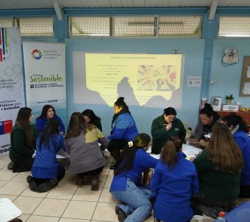 1000019920 scaled 1 360x320